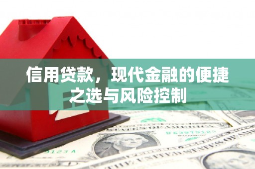 秦淮信用贷款，现代金融的便捷之选与风险控制