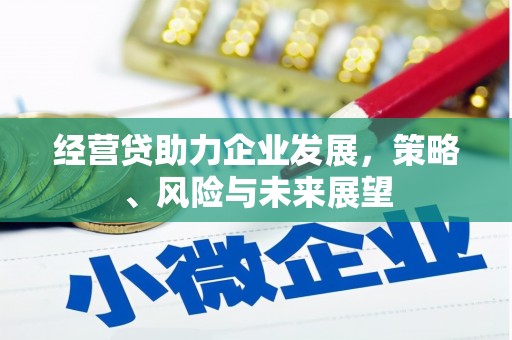 秦淮经营贷助力企业发展，策略、风险与未来展望