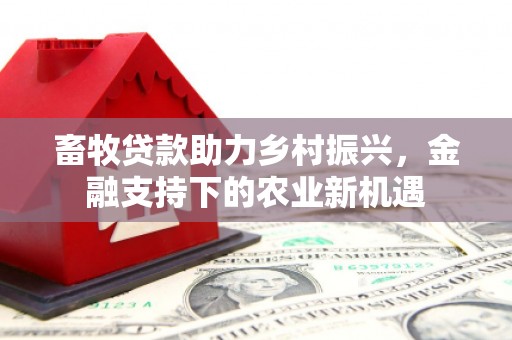 秦淮畜牧贷款助力乡村振兴，金融支持下的农业新机遇