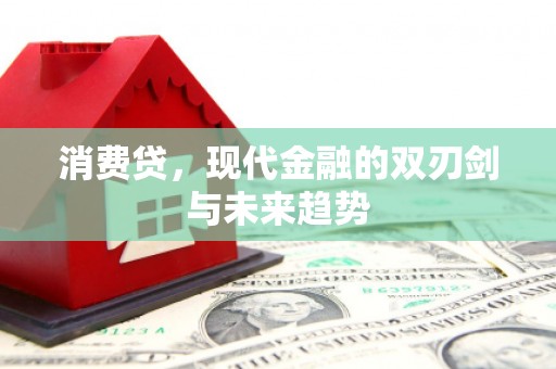 秦淮消费贷，现代金融的双刃剑与未来趋势