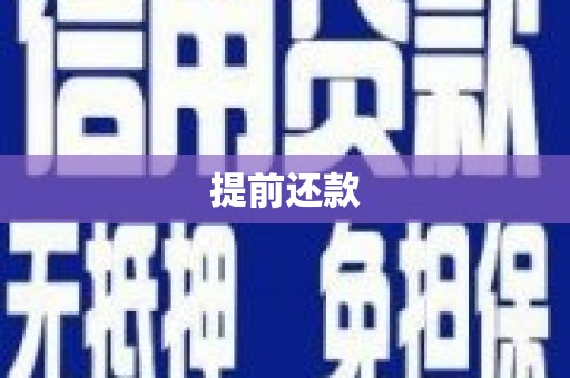 秦淮提前还款