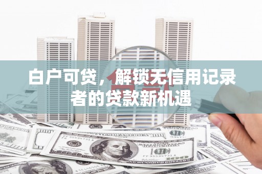 秦淮白户可贷，解锁无信用记录者的贷款新机遇