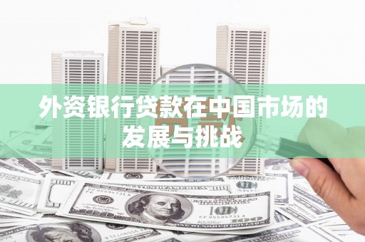 秦淮外资银行贷款在中国市场的发展与挑战