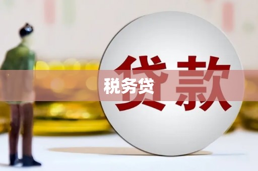 秦淮税务贷