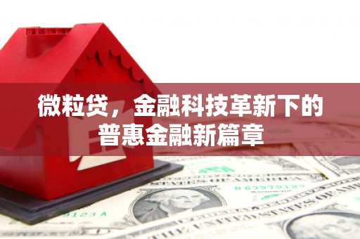 秦淮微粒贷，金融科技革新下的普惠金融新篇章