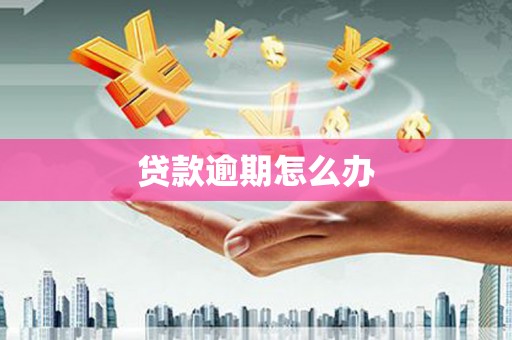 秦淮贷款逾期怎么办