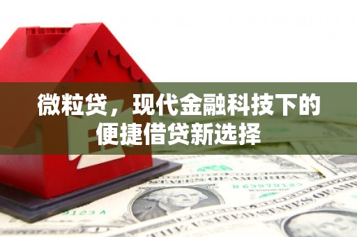秦淮微粒贷，现代金融科技下的便捷借贷新选择