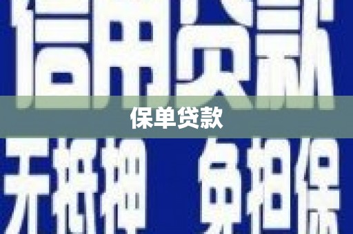 秦淮保单贷款