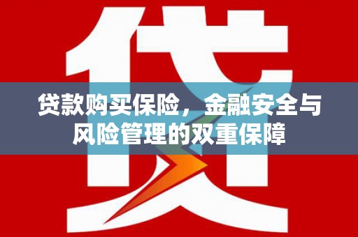 秦淮贷款购买保险，金融安全与风险管理的双重保障