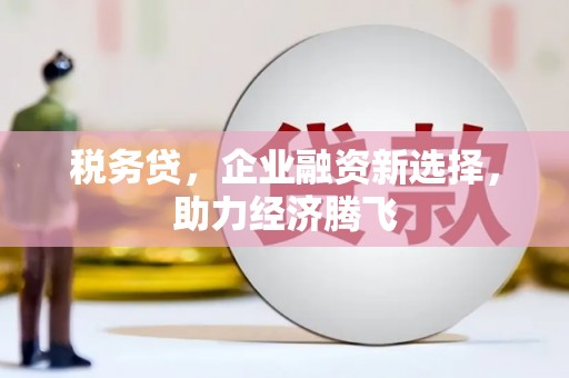 秦淮税务贷，企业融资新选择，助力经济腾飞