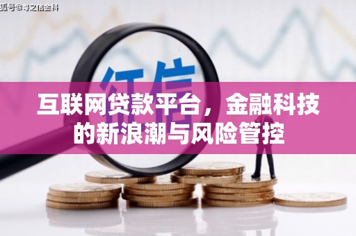 秦淮互联网贷款平台，金融科技的新浪潮与风险管控