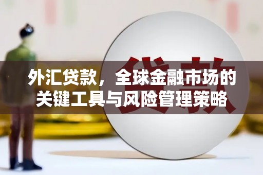 秦淮外汇贷款，全球金融市场的关键工具与风险管理策略