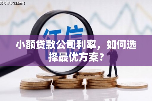 秦淮小额贷款公司利率，如何选择最优方案？
