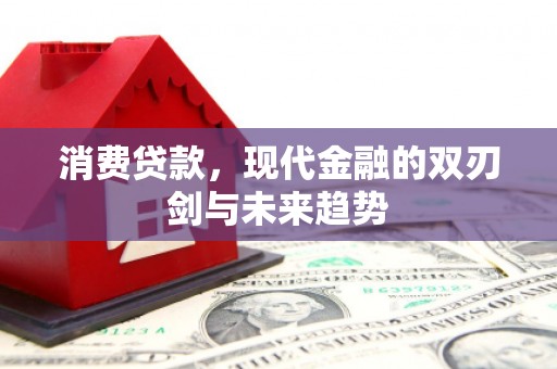 秦淮消费贷款，现代金融的双刃剑与未来趋势