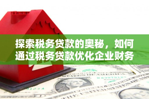 秦淮探索税务贷款的奥秘，如何通过税务贷款优化企业财务