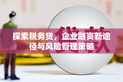 秦淮探索税务贷，企业融资新途径与风险管理策略
