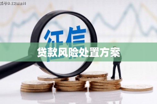 秦淮贷款风险处置方案