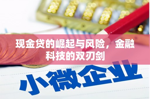 秦淮现金贷的崛起与风险，金融科技的双刃剑