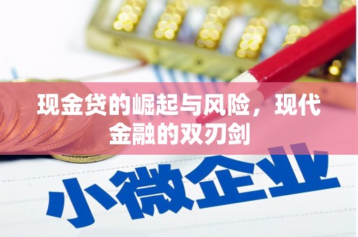 秦淮现金贷的崛起与风险，现代金融的双刃剑
