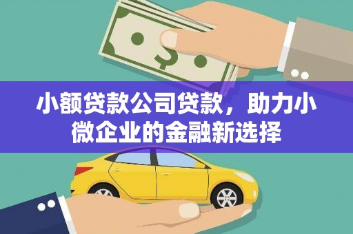 秦淮小额贷款公司贷款，助力小微企业的金融新选择