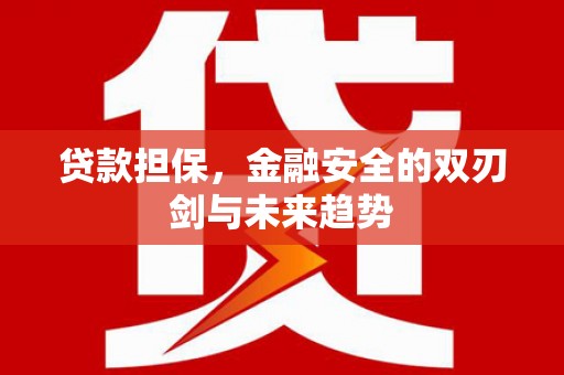 秦淮贷款担保，金融安全的双刃剑与未来趋势
