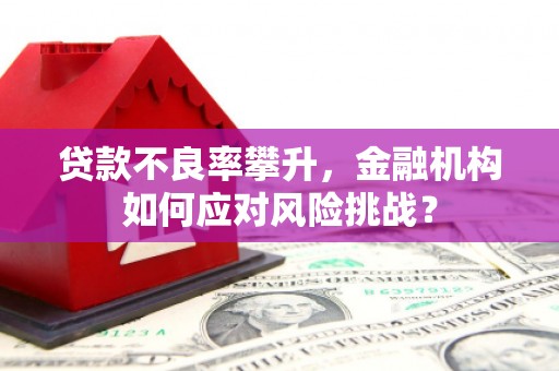 秦淮贷款不良率攀升，金融机构如何应对风险挑战？