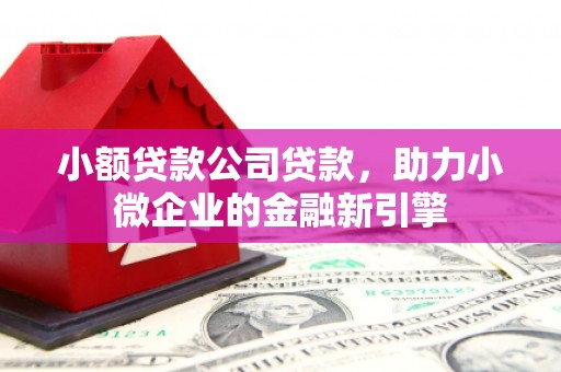 秦淮小额贷款公司贷款，助力小微企业的金融新引擎
