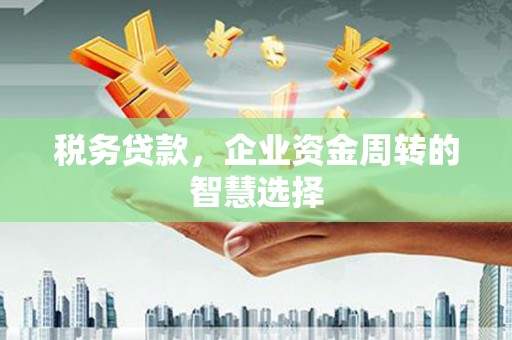 秦淮税务贷款，企业资金周转的智慧选择