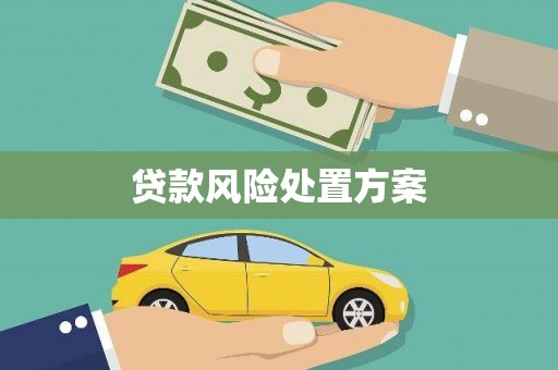 秦淮贷款风险处置方案