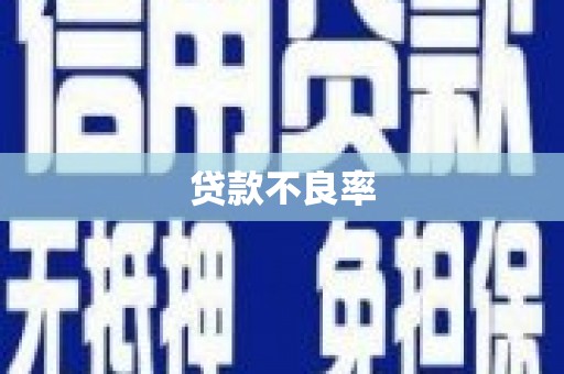 秦淮贷款不良率