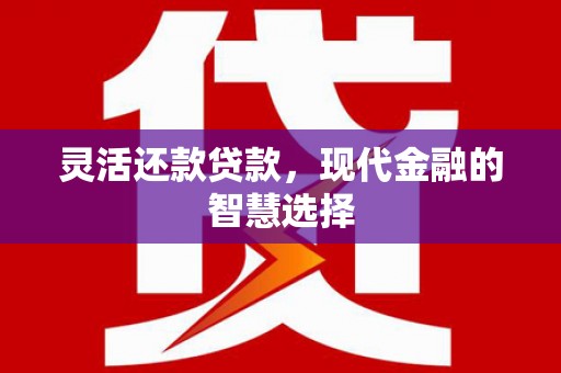 秦淮灵活还款贷款，现代金融的智慧选择