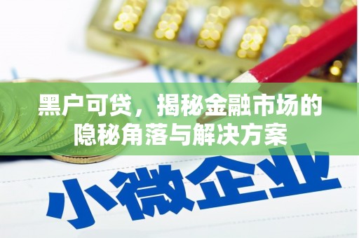 秦淮黑户可贷，揭秘金融市场的隐秘角落与解决方案