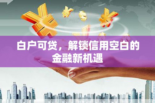 秦淮白户可贷，解锁信用空白的金融新机遇