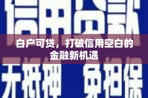 秦淮白户可贷，打破信用空白的金融新机遇