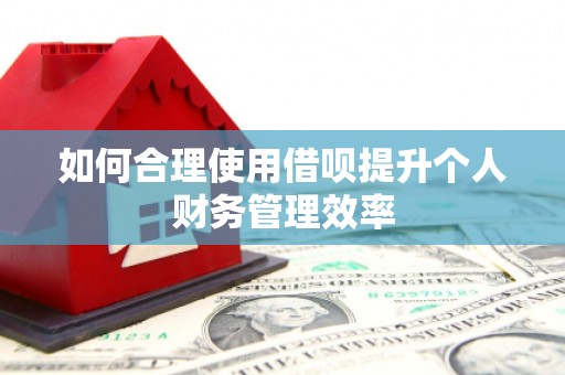 秦淮如何合理使用借呗提升个人财务管理效率