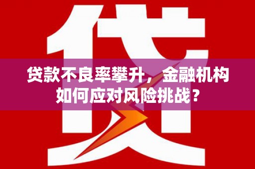 秦淮贷款不良率攀升，金融机构如何应对风险挑战？