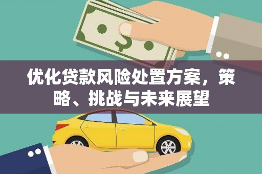 秦淮优化贷款风险处置方案，策略、挑战与未来展望