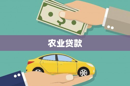 秦淮农业贷款