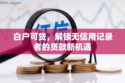 秦淮白户可贷，解锁无信用记录者的贷款新机遇
