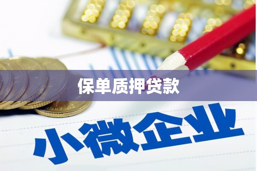 秦淮保单质押贷款