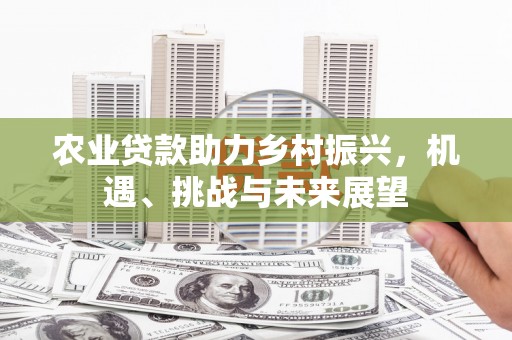 秦淮农业贷款助力乡村振兴，机遇、挑战与未来展望