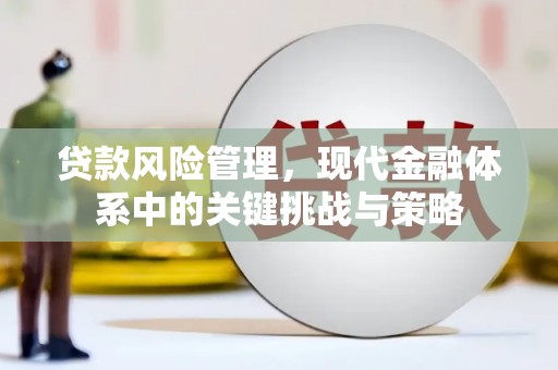 秦淮贷款风险管理，现代金融体系中的关键挑战与策略