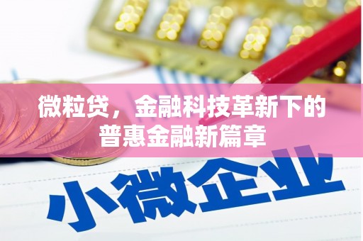秦淮微粒贷，金融科技革新下的普惠金融新篇章