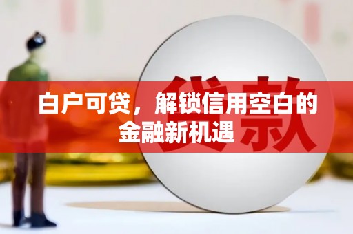 秦淮白户可贷，解锁信用空白的金融新机遇