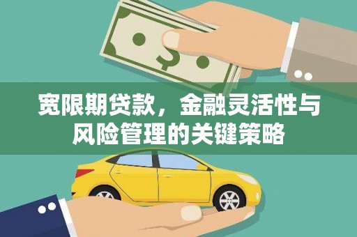 秦淮宽限期贷款，金融灵活性与风险管理的关键策略