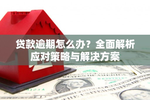 秦淮贷款逾期怎么办？全面解析应对策略与解决方案