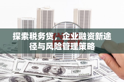秦淮探索税务贷，企业融资新途径与风险管理策略