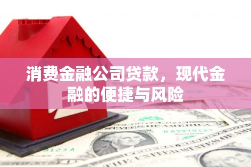 秦淮消费金融公司贷款，现代金融的便捷与风险