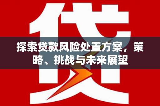 秦淮探索贷款风险处置方案，策略、挑战与未来展望