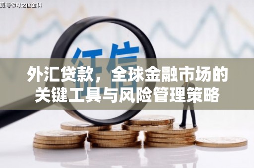 秦淮外汇贷款，全球金融市场的关键工具与风险管理策略